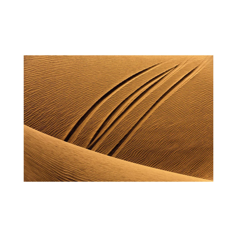 The Epoch Of Man by Morteza Navvabpour - Wrapped Canvas Print, 30.48 cm H x 45.72 cm W