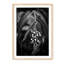 Rain Forest Lily - Picture Frame Photograph on Paper-74856294-87888865