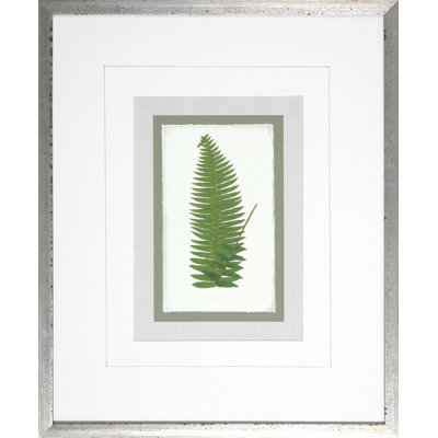 Fern9 Print