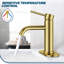  Robinet pour salle de bain à poignée simple avec bonde Forious® Ultra-94284468
