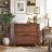 Shutesbury Wooden Filing Cabinet with 2 Lockable Drawers-114637316