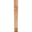 Attelle de genou olympique-70294233-31230592-29309935