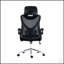 Chaise de bureau ergonomique avec appui-tête réglable, dossier lombaire et dossier en filet respirant pour plus de confort