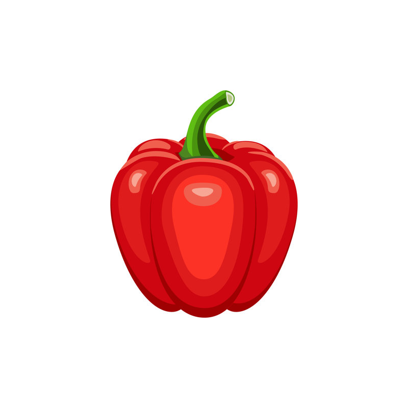 Red Pepper by Irina Mironova - Wrapped Canvas Print, 122cm H x 122cm W x 3.8cm D