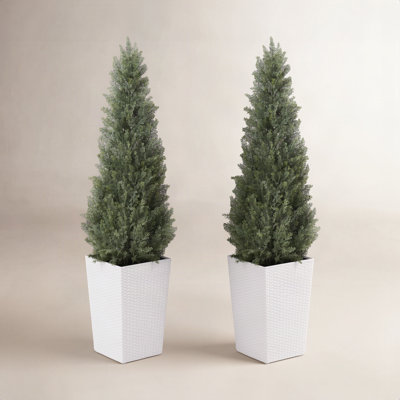 Adcock 48" Cedar Topiary in Decorative Vase