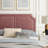 Modway Novi Performance Velvet Bed-353946904-353946902