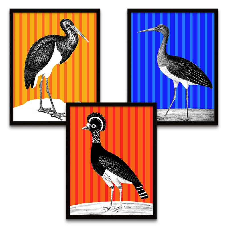 Tall Birds On Bright Stripes - 3 Piece Print Set