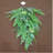 28" Leaves and Succulents Artificial Spring Teardrop Swag - Unlit