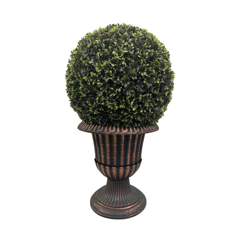 Plante de 24 po