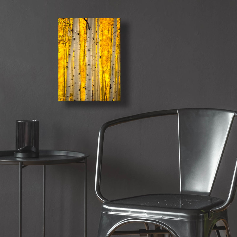 "Aspen Trees" par Jonathan Ross, H 16 po x l 12 po x P 0,13 po
