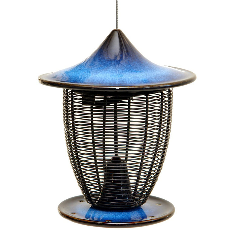 Pagode Nyjer / chardon, Bleu