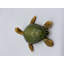 Ned Turtles-1073207295