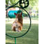 Hoop Jump