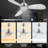 Friedmut 48'' Ceiling Fan with LED Lights