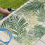 Area Rug