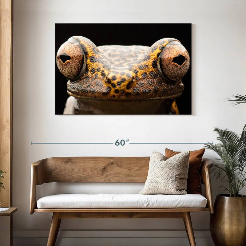 Brampt Tree Frog Eyes, 30" H x 45" W