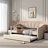 Taminka Upholstered Daybed-1140176747