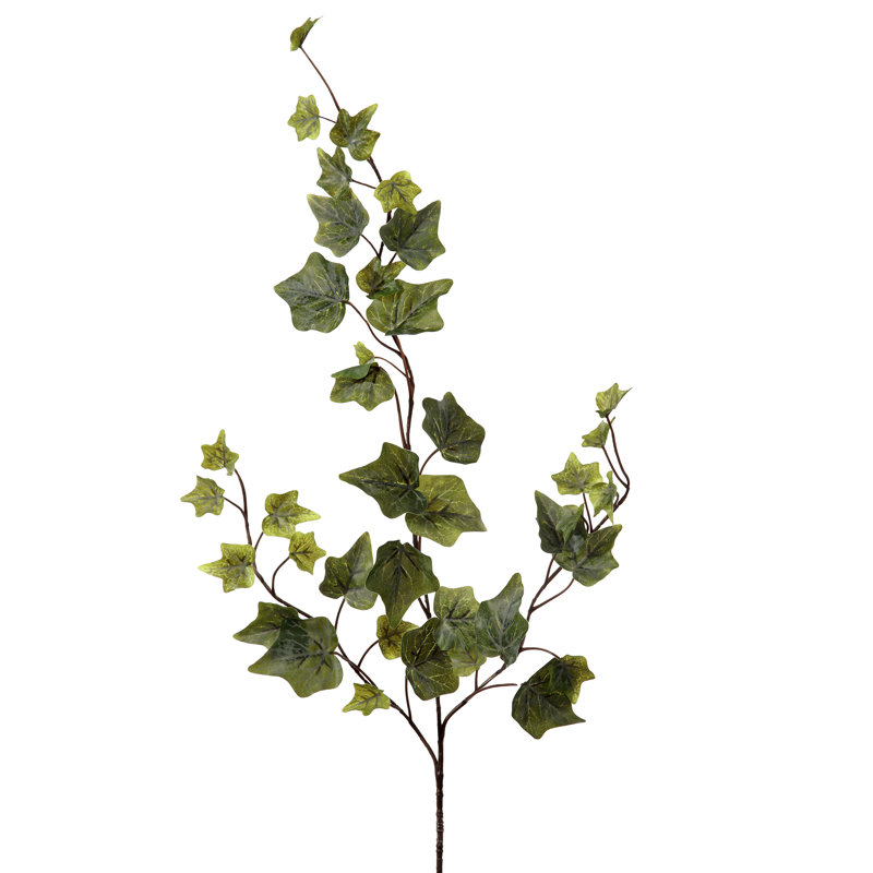 Vaporisateur 26 po English Ivy Frost