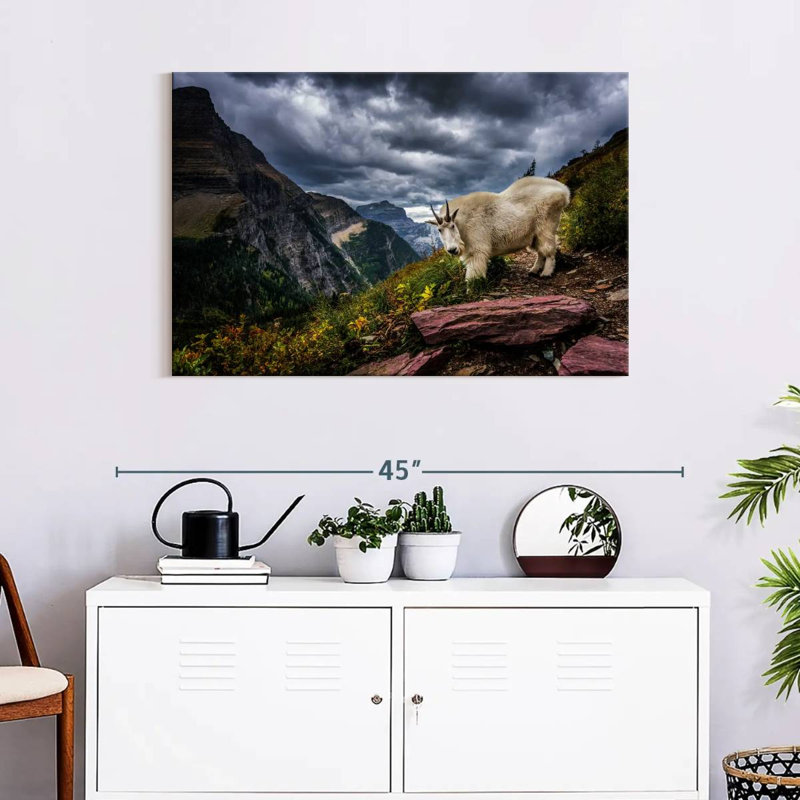 Brampt Rocky Mountain Goat, 24" H x 36" W