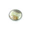 Mushroom Knob-1574932238