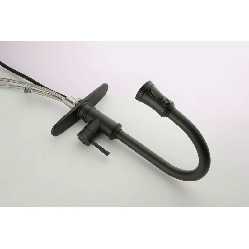 Robinet de cuisine avec douchette extractible