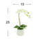 Arrangement floral orchidées et centres de table dans un vase