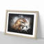 Hawk - Picture Frame Graphic Art Print-56863367-56863371