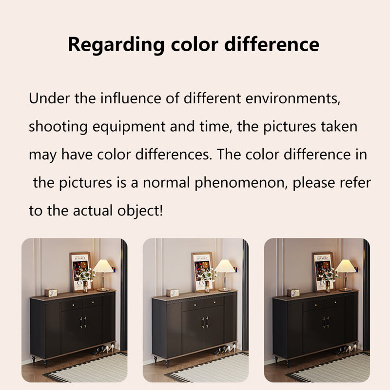 Grande armoire à chaussures tendance avec rangement, H 39,02 po x l 47,24 po x P 14,17 po