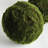 Barrientos ORBS 11" Set of 2