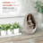Divid Sculptural Fountain with Lights