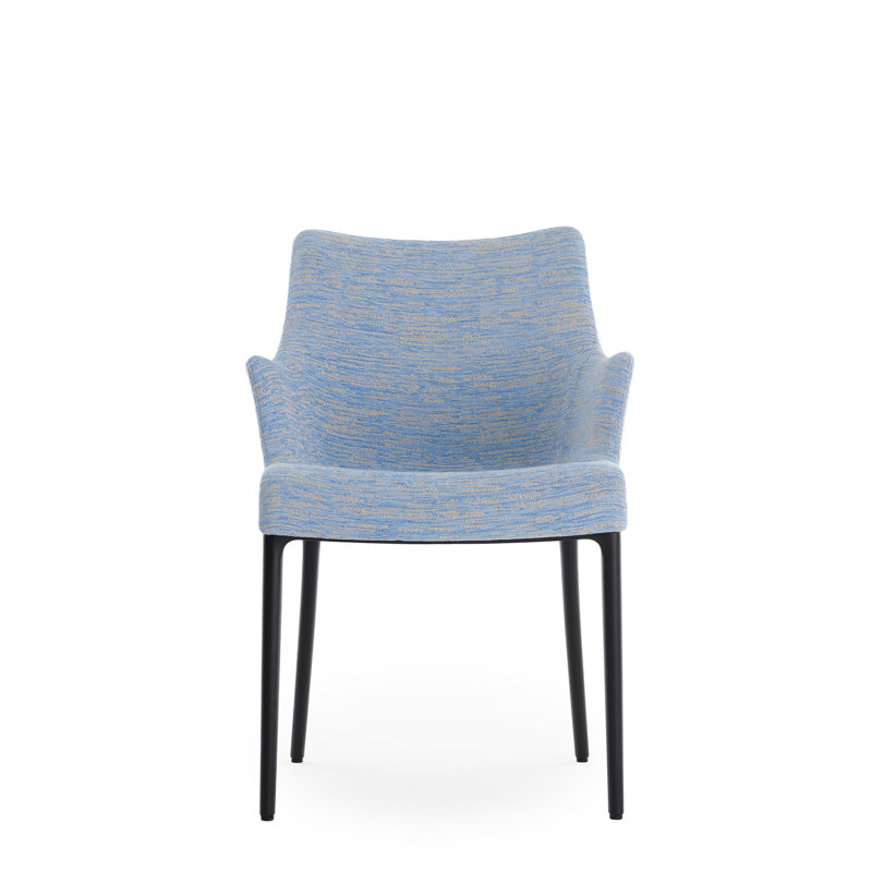 Eleganza Nia, Noir, Bleu clair