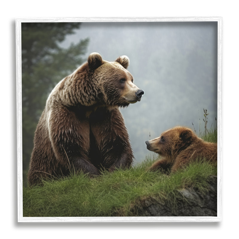 «Bear & Cub Relaxing», reproduction de photo sur toile, Giclée encadrée blanc bord de mer, H 12 po x l 12 po