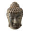 Tête de Bouddha Marais petit terreux