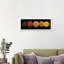 Floral Salute by Assaf Frank - Floater Frame Panoramic Print on Canvas-2018209443-2018209440