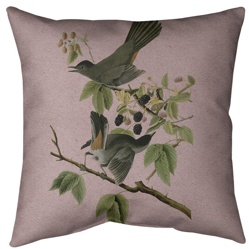 Coussin décoratif à motif d'oiseau de chat avec insert - Collection John James Audubon, double face et lavable, 20 po x 20 po