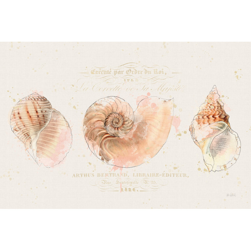 Coquille de collection I, H 12 po x l 18 po x P 1,25 po