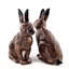 Salt And Pepper - Rabbit - Hare