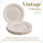 Assiette plate 10 personnes-466788685