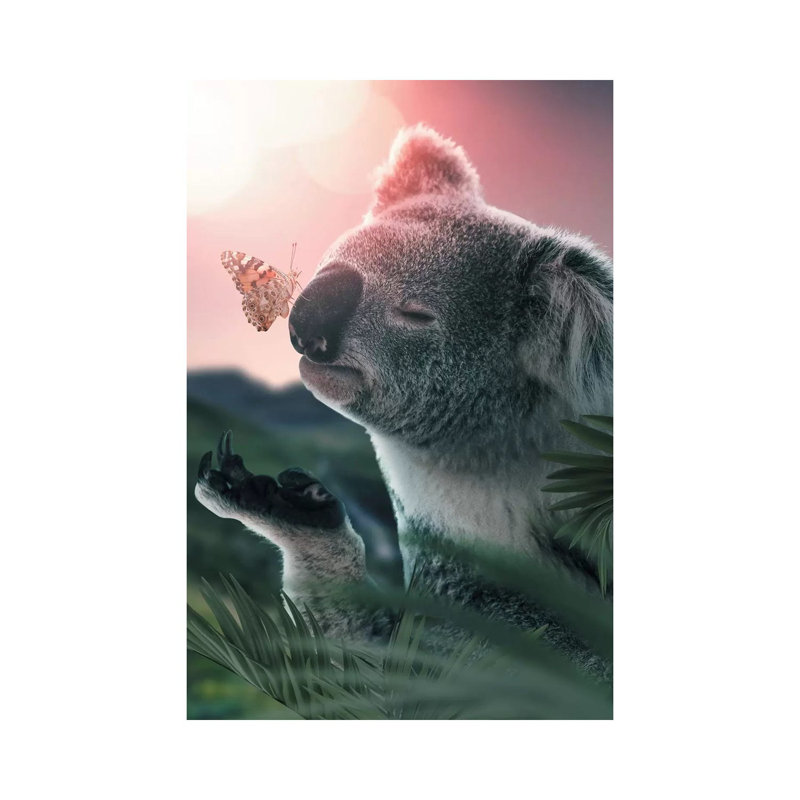 Koala Butterfly by Zenja Gammer - Print on Canvas, Wrapped Canvas, 20.32 cm H x 30.48 cm W