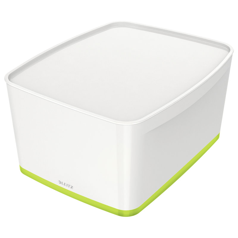 Leitz Plastic Decorative Bin, 18L, 31.8cm H x 19.8cm W x 38.5cm D, White/Green