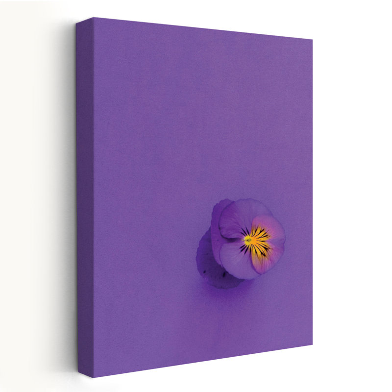 Lavande, pensée, fleurs, nature morte, photographie, botanique, fleurs, ensembles, pensées, mauve mauve, H 24 po x l 16 po
