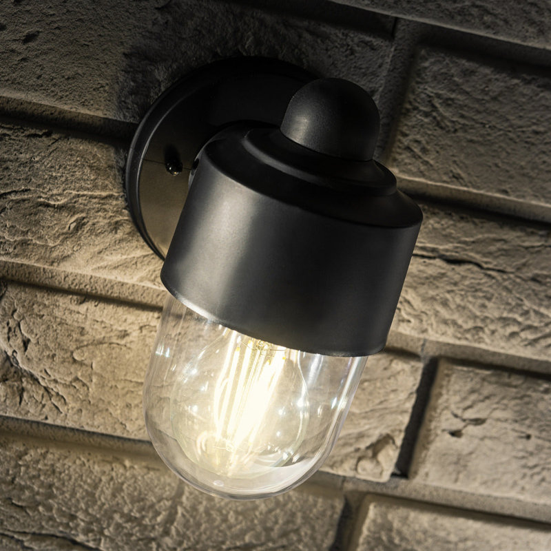 Branon 19cm H Outdoor Wall Lantern