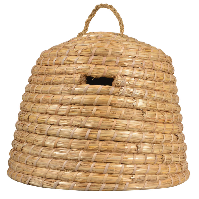 Beekeeping Beehive