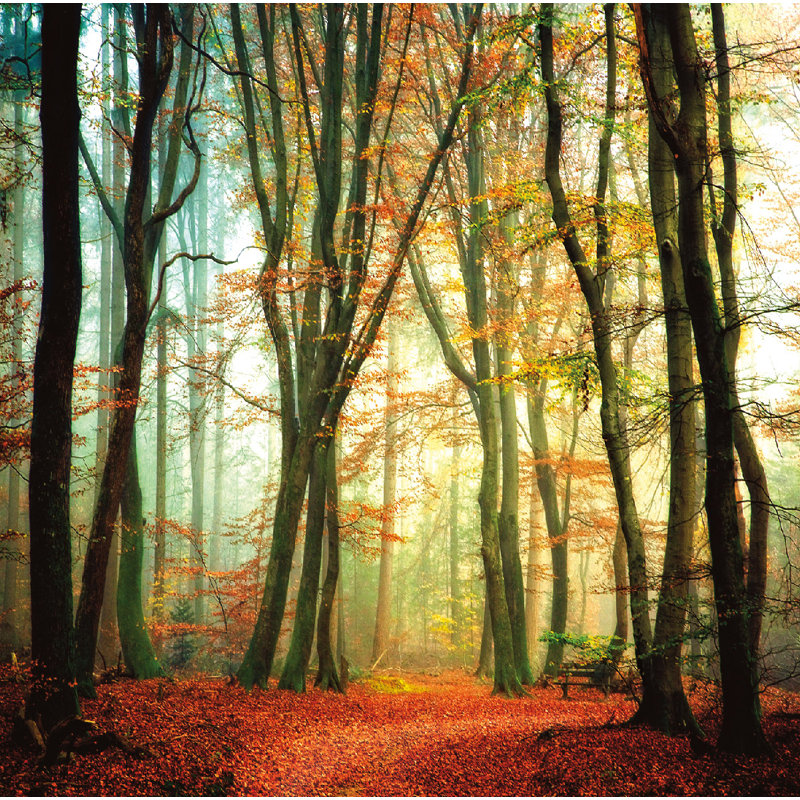 « colorfall ii », impression sur toile