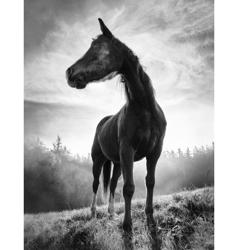 Wrapped Canvas Print, 50.8cm H x 76.2cm W