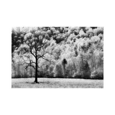 Water and Lan VI 1 Piece Wrapped Canvas Wall Art