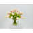 Rose/Blanc