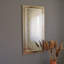 Abigail Engineered Wood Flat Mirror