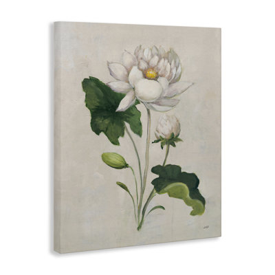  «Graceful Budding Lily», art mural sur toile par Julia Purinton