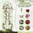 Serafina 60'' H x 16'' W Trellis